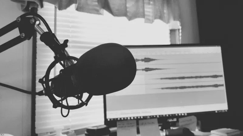 Feline Frequencies: How Cat Vocalizations Are Giving Indie Artists a Roadmap to Weirder, Better Song Structures